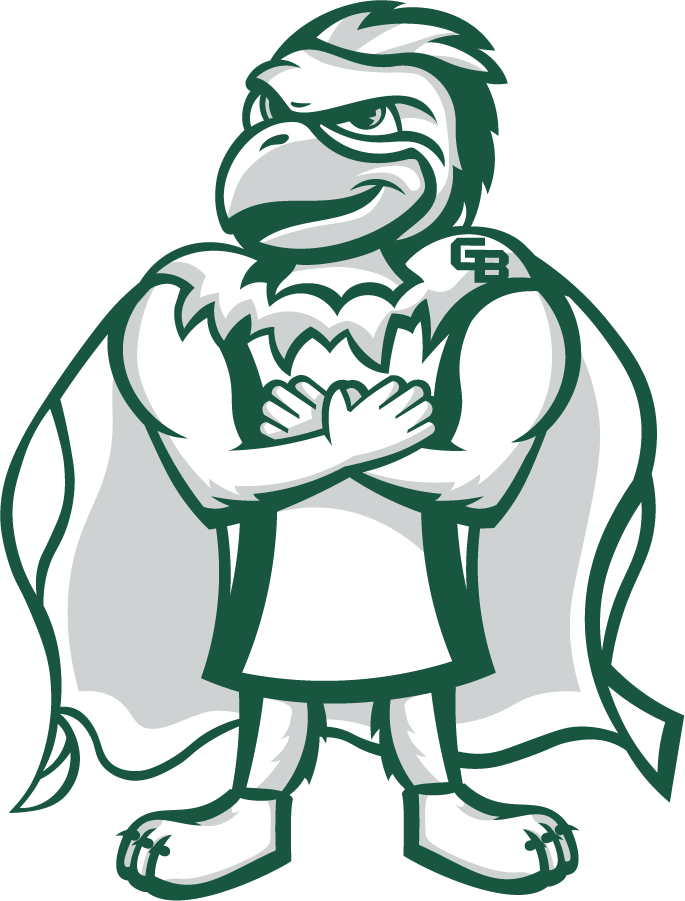 Wisconsin-Green Bay Phoenix 2020-Pres Mascot Logo t shirts iron on transfers
